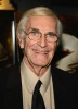 photo Martin Landau (stem)