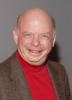 photo Wallace Shawn (stem)