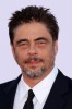 photo Benicio del Toro