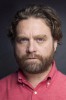 photo Zach Galifianakis (stem)