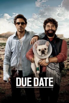 poster Due Date  (2010)