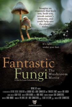 poster Fantastic Fungi  (2019)